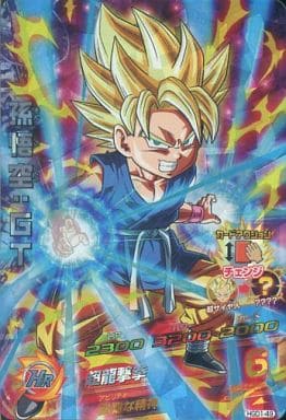 [SR] HGD1-49 孫悟空:GT