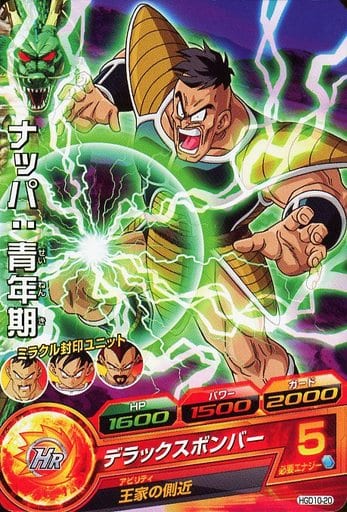 [C] HGD10-20 ナッパ:青年期