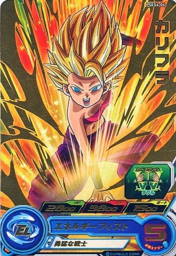 [P] PSES4-04 カリフラ