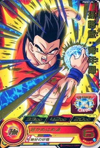 [P] PSES7-05 孫悟飯：青年期