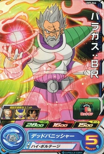 [C] UM9-066 パラガス:BR