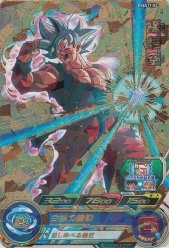 [P] PSES11-02 孫悟空