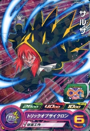 [P] PUMS8-05 サルサ