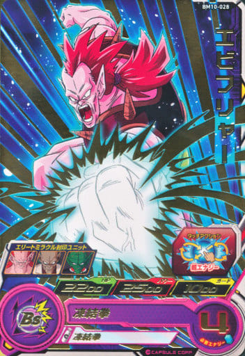 [R] BM10-028 エビフリャー