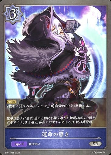 [SR] BP01-065 運命の導き