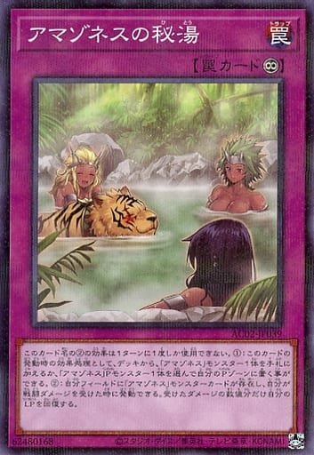 [P-N] AC02-JP039 アマゾネスの秘湯