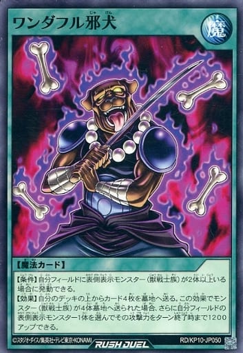 [N] RD/KP10-JP050 ワンダフル邪犬