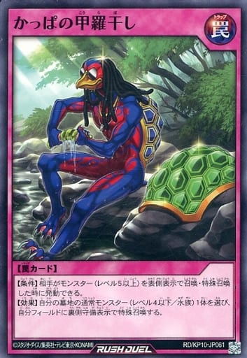 [N] RD/KP10-JP061 かっぱの甲羅干し