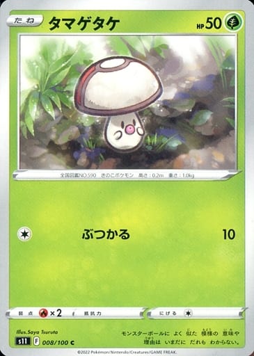 [C] 008/100 タマゲタケ