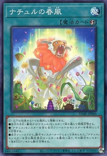 [N] DABL-JP064 ナチュルの春風