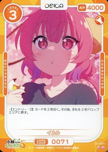 [N] 01-071 イルル