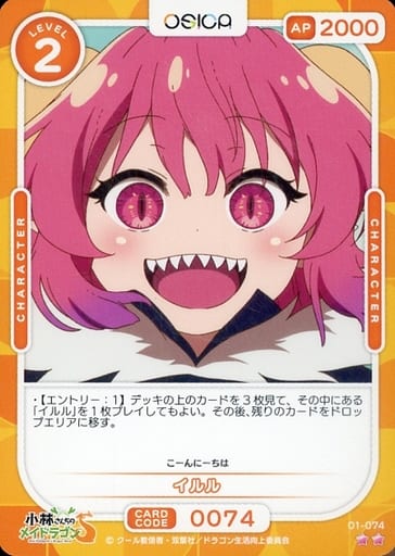 [N] 01-074 イルル