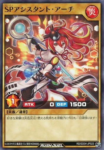 [N] RD/SD04-JP023 SPアシスタント・アーチ