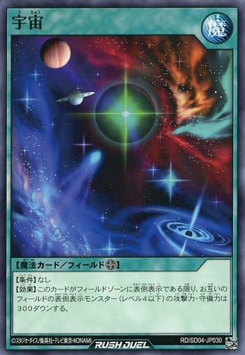[N] RD/SD04-JP030 宇宙