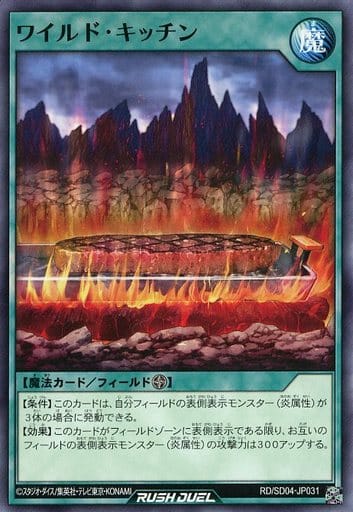 [N] RD/SD04-JP031 ワイルド・キッチン