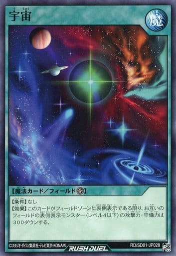 [N] RD/SD01-JP028 宇宙