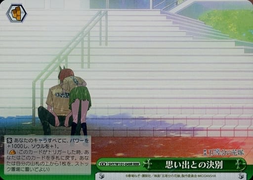 [RRR] 5HY/W101-049R 思い出との決別