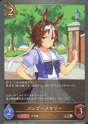 [BR] CP01-048 バンブーメモリー
