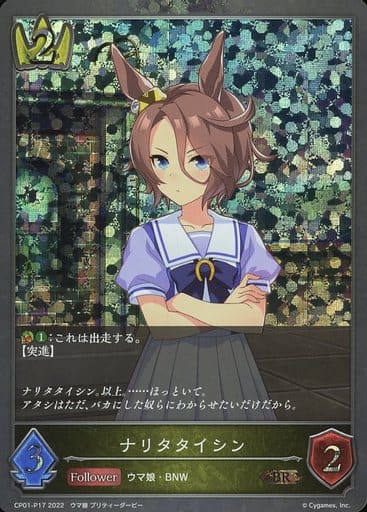 CP01-P17 ナリタタイシン