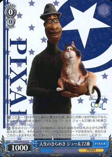 [R] PXR/S94-074 人生のきらめき ジョー22番