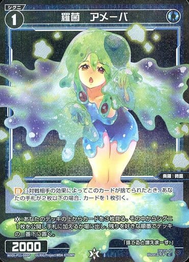 [P-C] WXDi-P11-066P 羅菌 アメーバ