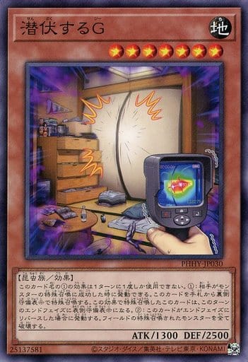 [NR] PHHY-JP030 潜伏するG