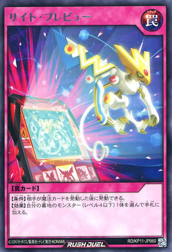[R] RD/KP11-JP060 サイト・プレビュー