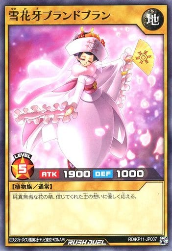 [N] RD/KP11-JP007 雪花牙ブランドブラン