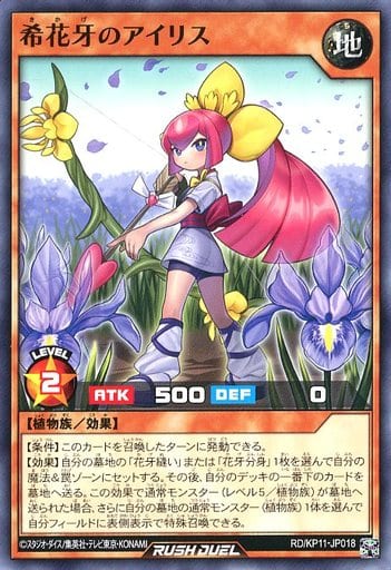 [N] RD/KP11-JP018 希花牙のアイリス