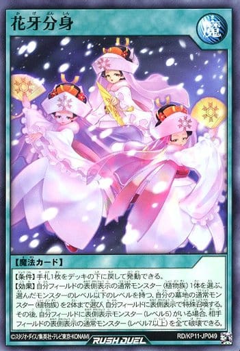 [N] RD/KP11-JP049 花牙分身