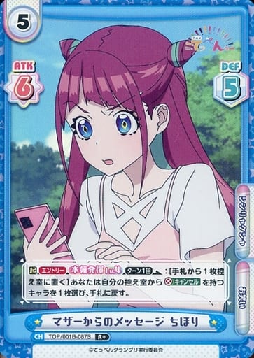 [R+] TOP/001B-087S マザーからのメッセージ ちほり