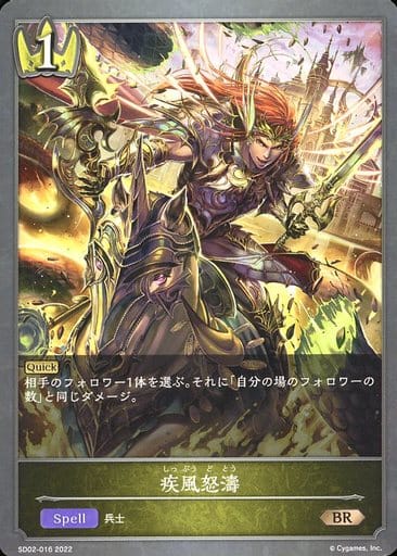 [BR] SD02-016 疾風怒濤