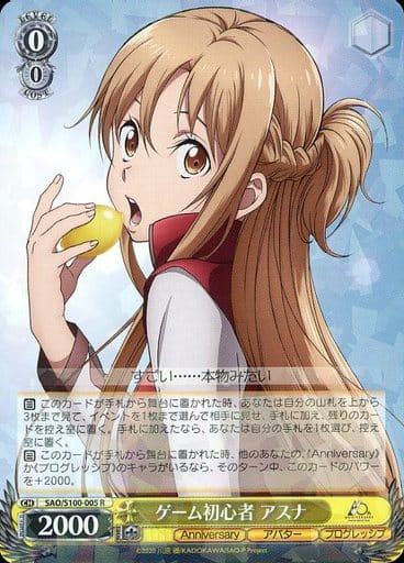 [R] SAO/S100-005 ゲーム初心者 アスナ