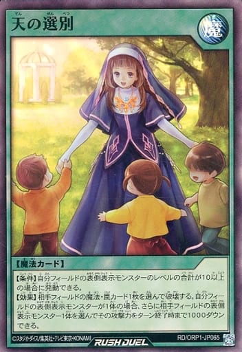 [SR] RD/ORP1-JP065 天の選別