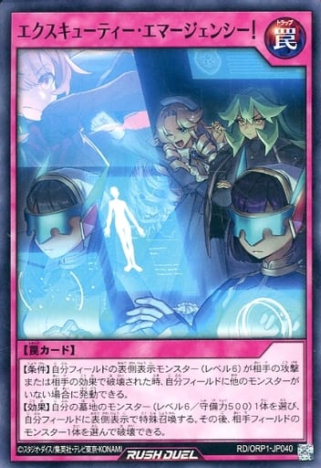 [N] RD/ORP1-JP040 エクスキューティー・エマージェ...