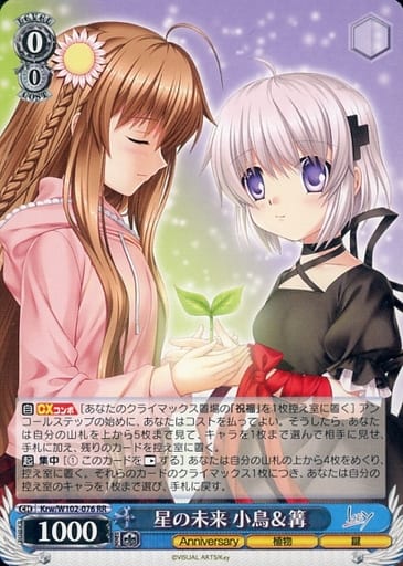 [RR] Krw/W102-076 星の未来 小鳥篝