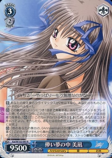 [R] Kai/W102-085 儚い夢の中 美凪