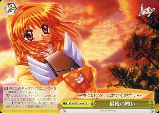 [CR] Kka/W102-028 最後の願い