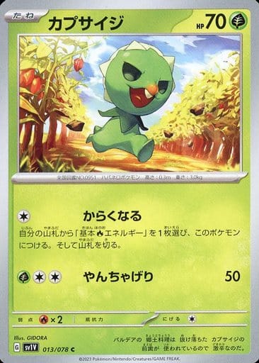 [C]013/078カプサイジ