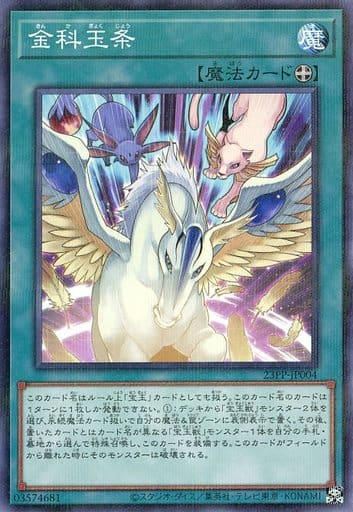 [P-N] 23PP-JP004 金科玉条