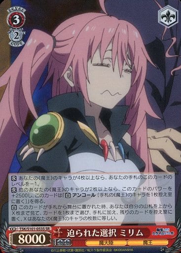 [SR] TSK/S101-053S 迫られた選択 ミリム