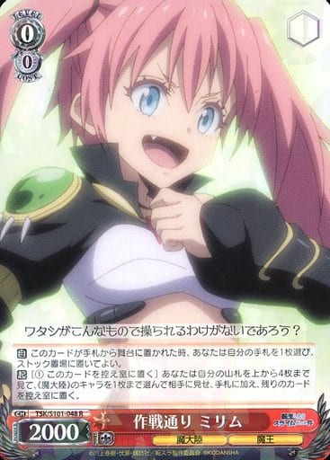 [R] TSK/S101-048 作戦通り ミリム