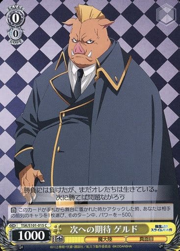 [C] TSK/S101-015 次への期待 ゲルド