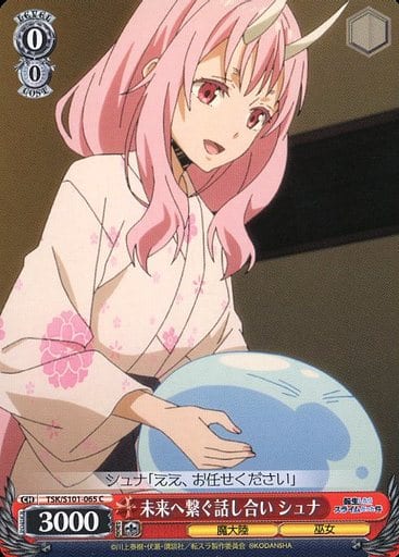 [C] TSK/S101-065 未来へ繋ぐ話し合い シュナ