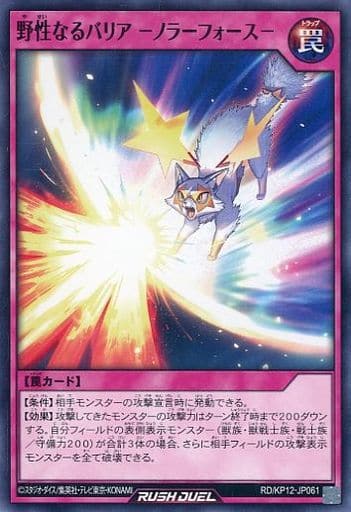 [N] RD/KP12-JP061 野生なるバリア -ノラーフォース-