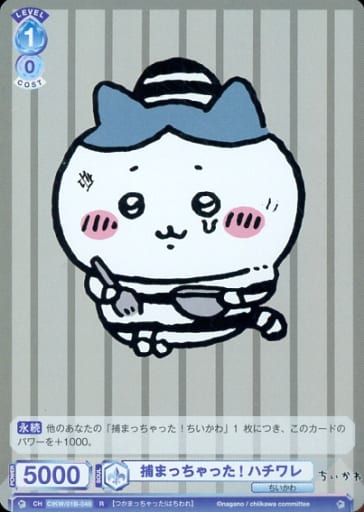 [R] CIKW/01B-048 捕まっちゃった! ハチワレ