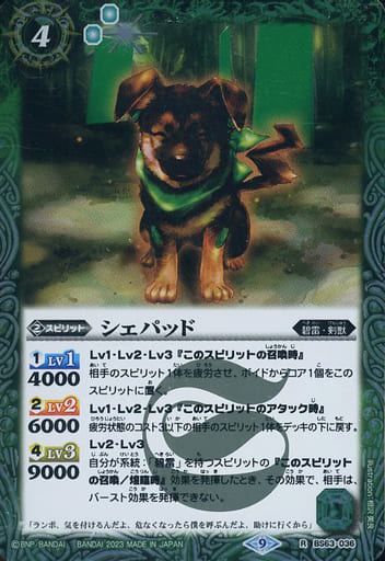 [R] BS63-036 シェパッド