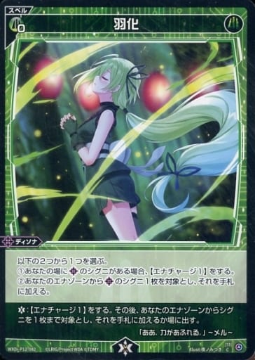[C] WXDi-P12-082 羽化