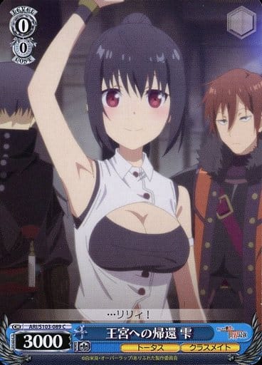 [C] ARI/S103-089 王宮への帰還 雫