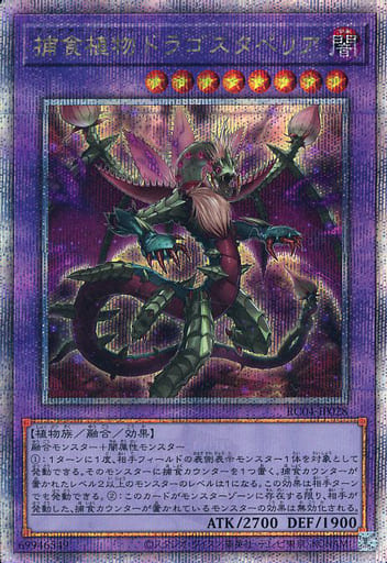 [QCSE] RC04-JP028 捕食植物ドラゴスタペリア